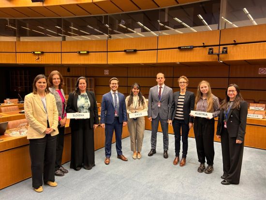 Predlagateljice resolucije so Slovenija, Avstrija in Čile.