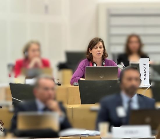 mag. Vita Habjan Barborič, Vodja Centra za razvoj in preventivo Komisije za preprečevanje korupcije in članica Biroja GRECO, med zasedanjem
