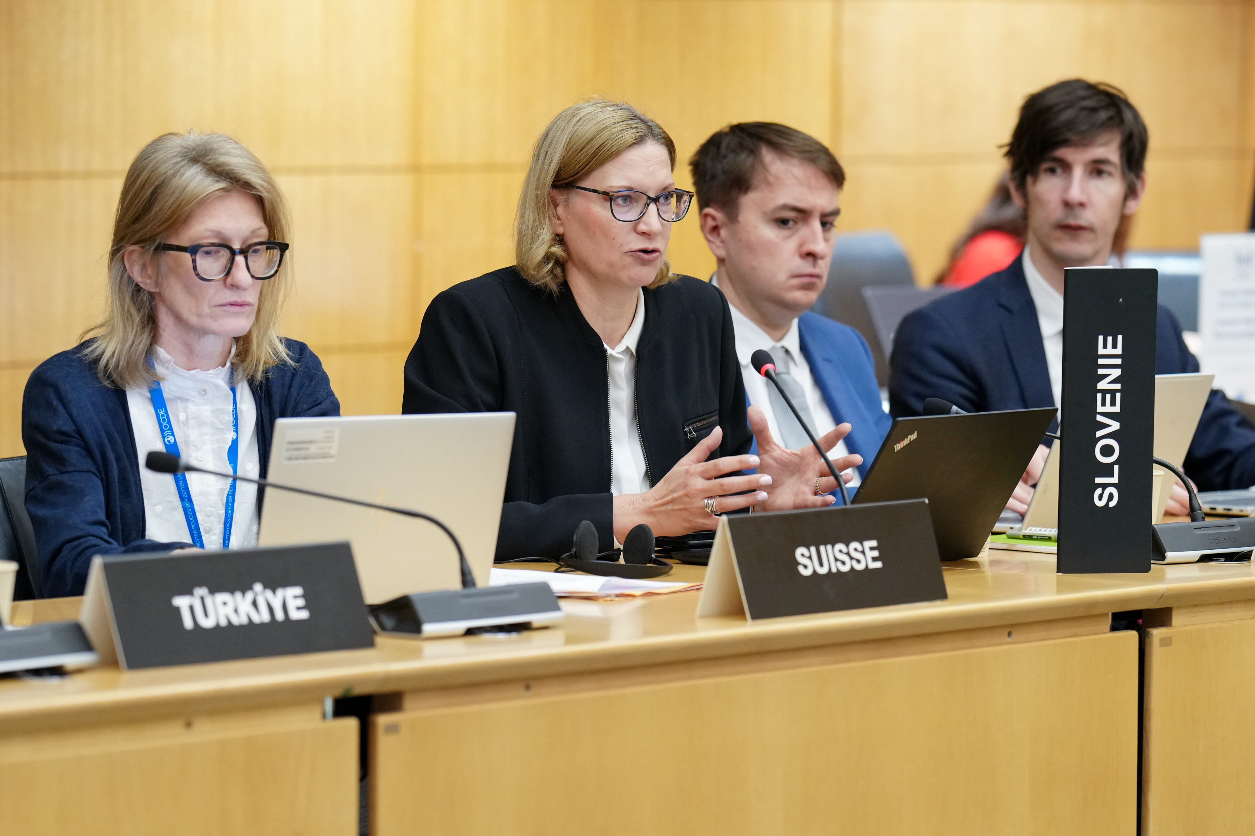Tina Divjak med razpravo na sestanku PIAC (foto: OECD PIAC)